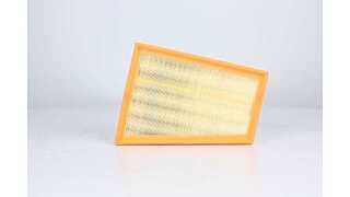 Air Filter (BSG 60-135-042)