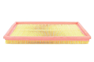 Air Filter (BSG 65-135-003)