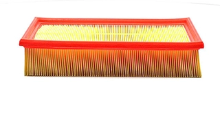 Air Filter (BSG 30-135-016)