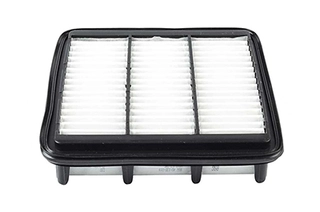 Air Filter (BSG 40-135-019)