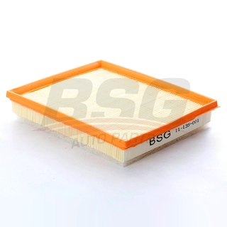 Air Filter (BSG 11-135-001)