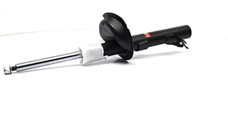 Shock Absorber (BSG 30-300-021)