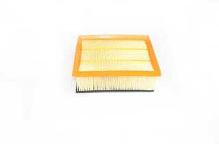 Air Filter (BSG 25-135-005)