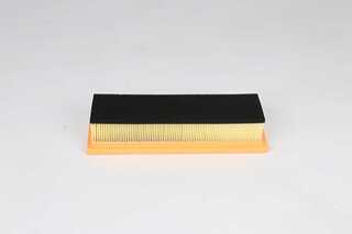 Air Filter (BSG 25-135-014)
