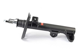 Shock Absorber (BSG 60-300-052)