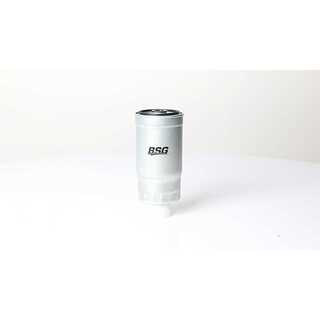 Fuel Filter (BSG 40-130-016)