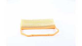 Air Filter (BSG 90-135-025)