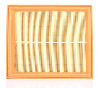 Air Filter (BSG 90-135-006)