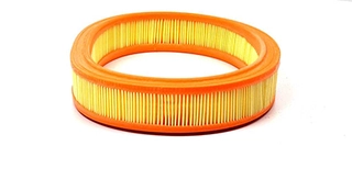 Air Filter (BSG 30-135-008)