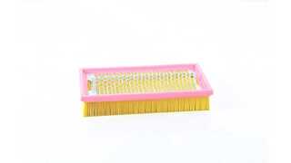 Air Filter (BSG 60-135-038)