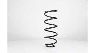 Suspension Spring (BSG 90-305-008)