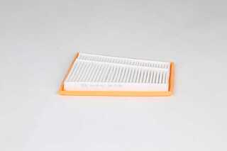 Air Filter (BSG 60-135-022)