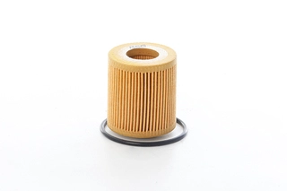 Oil Filter (BSG 30-140-012)