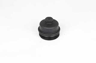 Oil Filter (BSG 65-700-253)