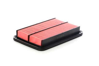 Air Filter (BSG 55-135-003)
