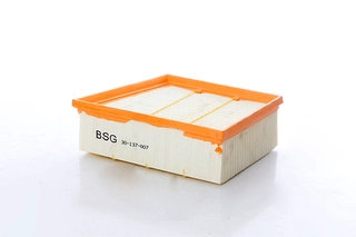Air Filter (BSG 30-137-007)