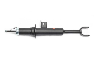 Shock Absorber (BSG 15-300-036)
