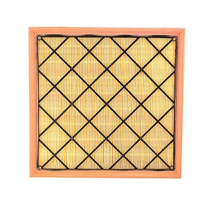 Air Filter (BSG 65-135-020)