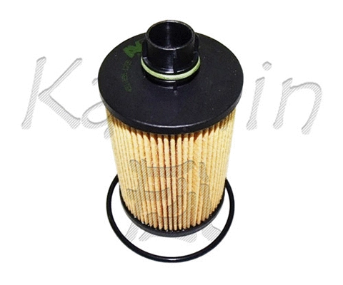 Oil Filter (O1003)