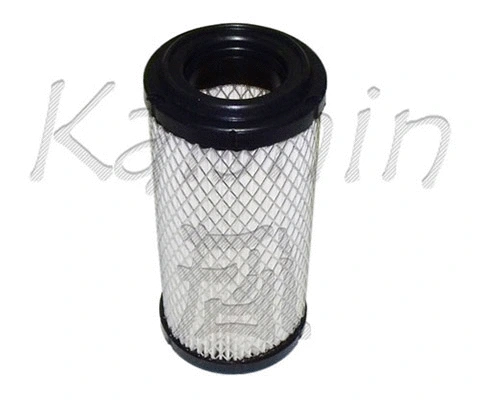 Air Filter (A10255)