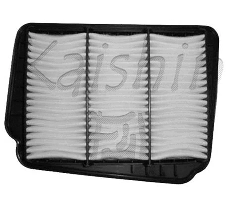 Air Filter (A10074)