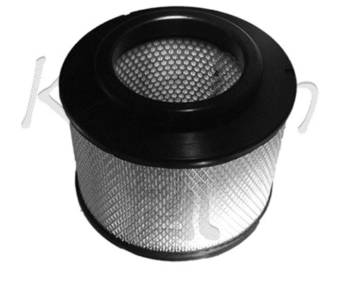 Air Filter (A10199)