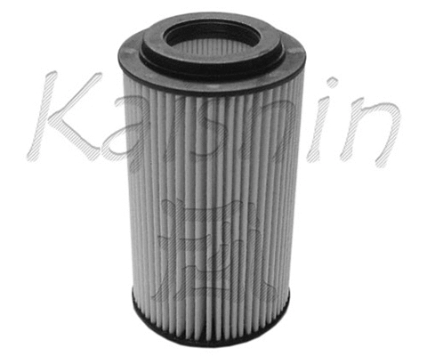 Oil Filter (O956)