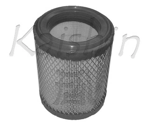 Air Filter (A10060)