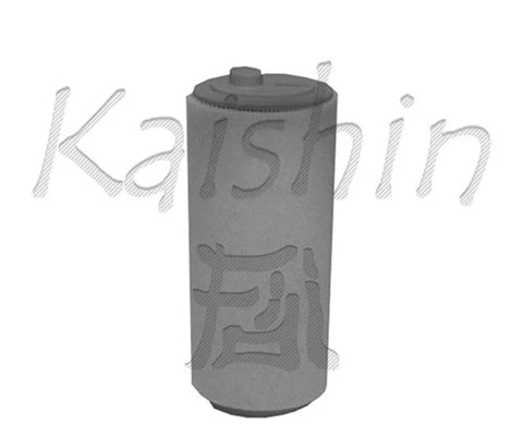 Air Filter (A10116)