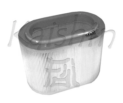 Air Filter (A10012)