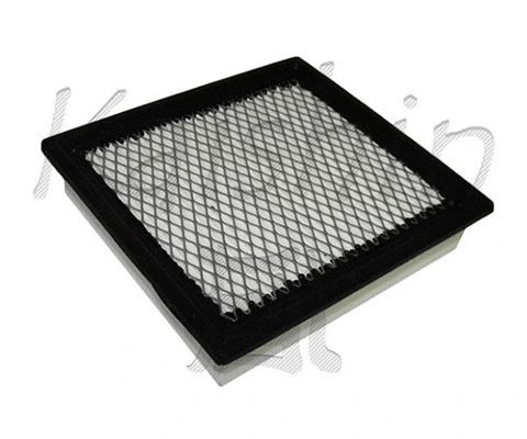 Air Filter (A10231)