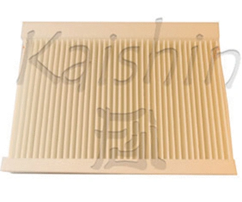 Filter, cabin air (A20211)