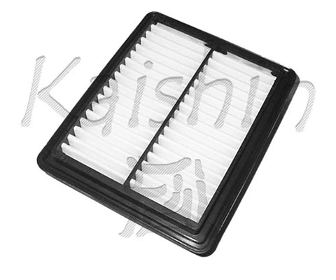 Air Filter (A966)
