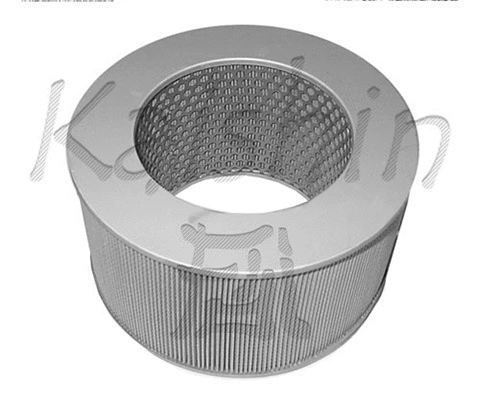 Air Filter (A425)