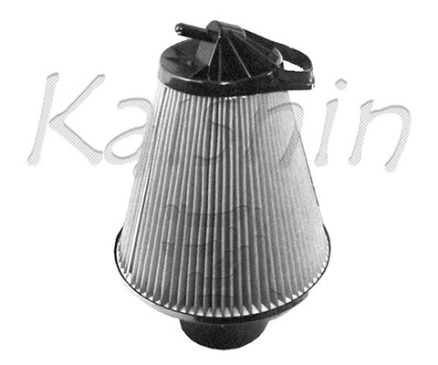 Air Filter (A866)