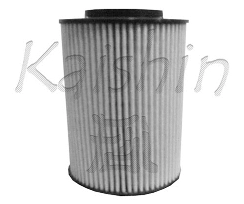Oil Filter (O974)