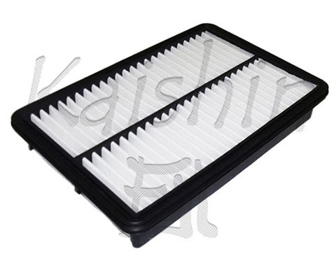 Air Filter (A10300)