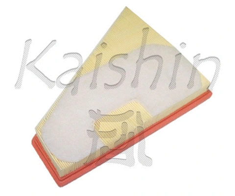 Air Filter (A10252)