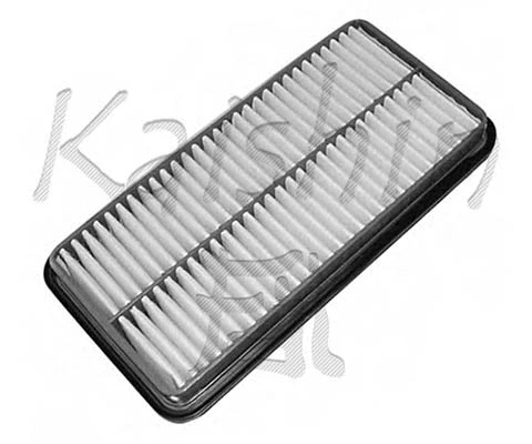 Air Filter (A10049)