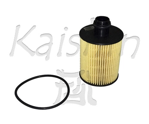 Oil Filter (O1006)