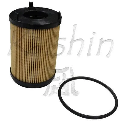 Oil Filter (O1019)