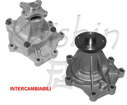 Water Pump, engine cooling (WPK127)
