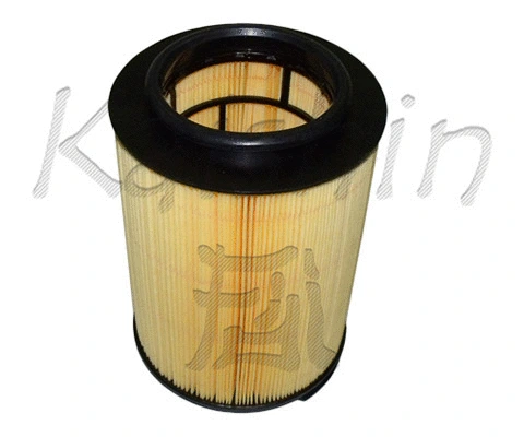 Air Filter (A10215)