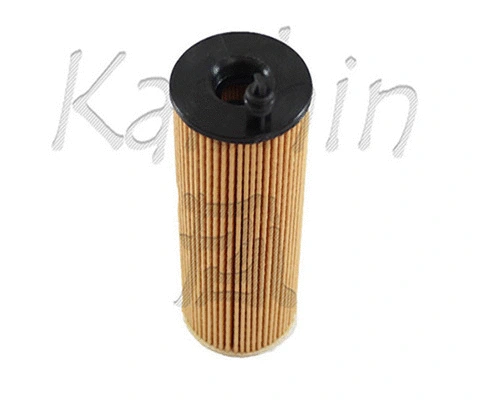 Oil Filter (O1013)