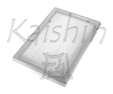 Air Filter (A10029)