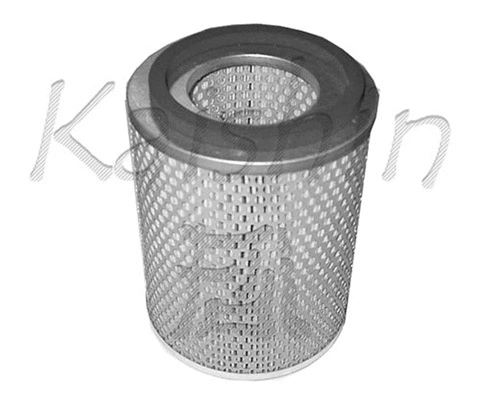 Air Filter (A521)