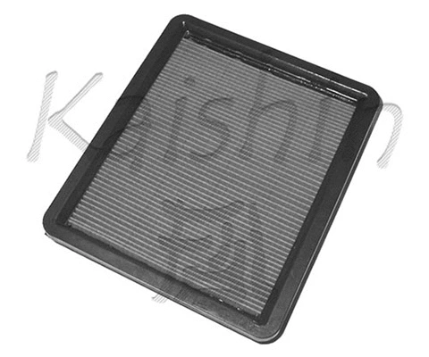 Air Filter (A437)