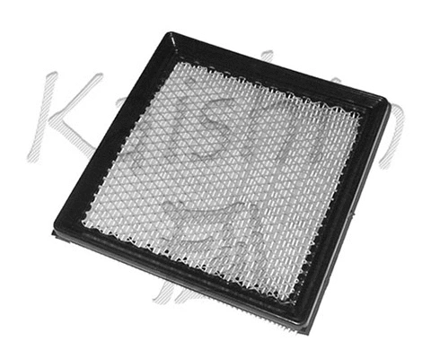 Air Filter (A852)