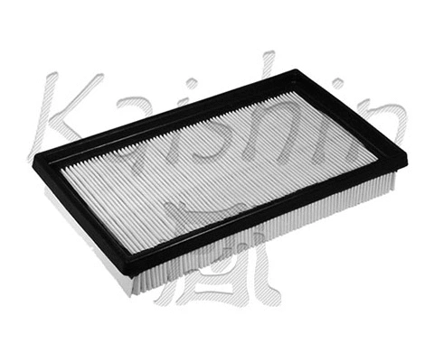 Air Filter (A10146)