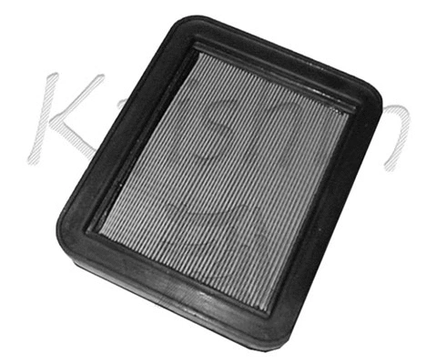 Air Filter (A717)